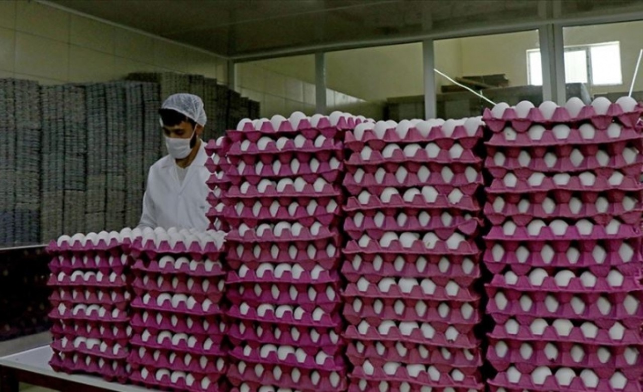 Irak'ın ithalatı durdurması yumurta fiyatını düşürdü