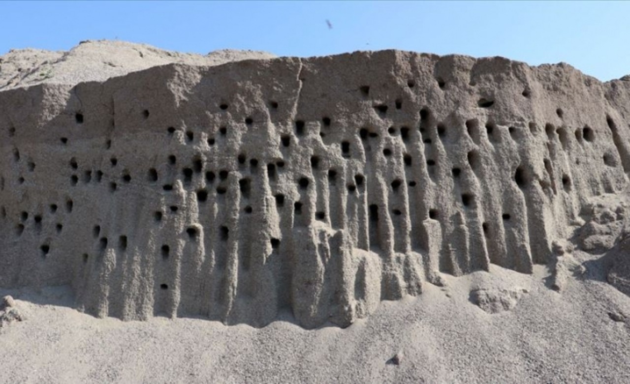 Zarar etmeyi göze aldılar