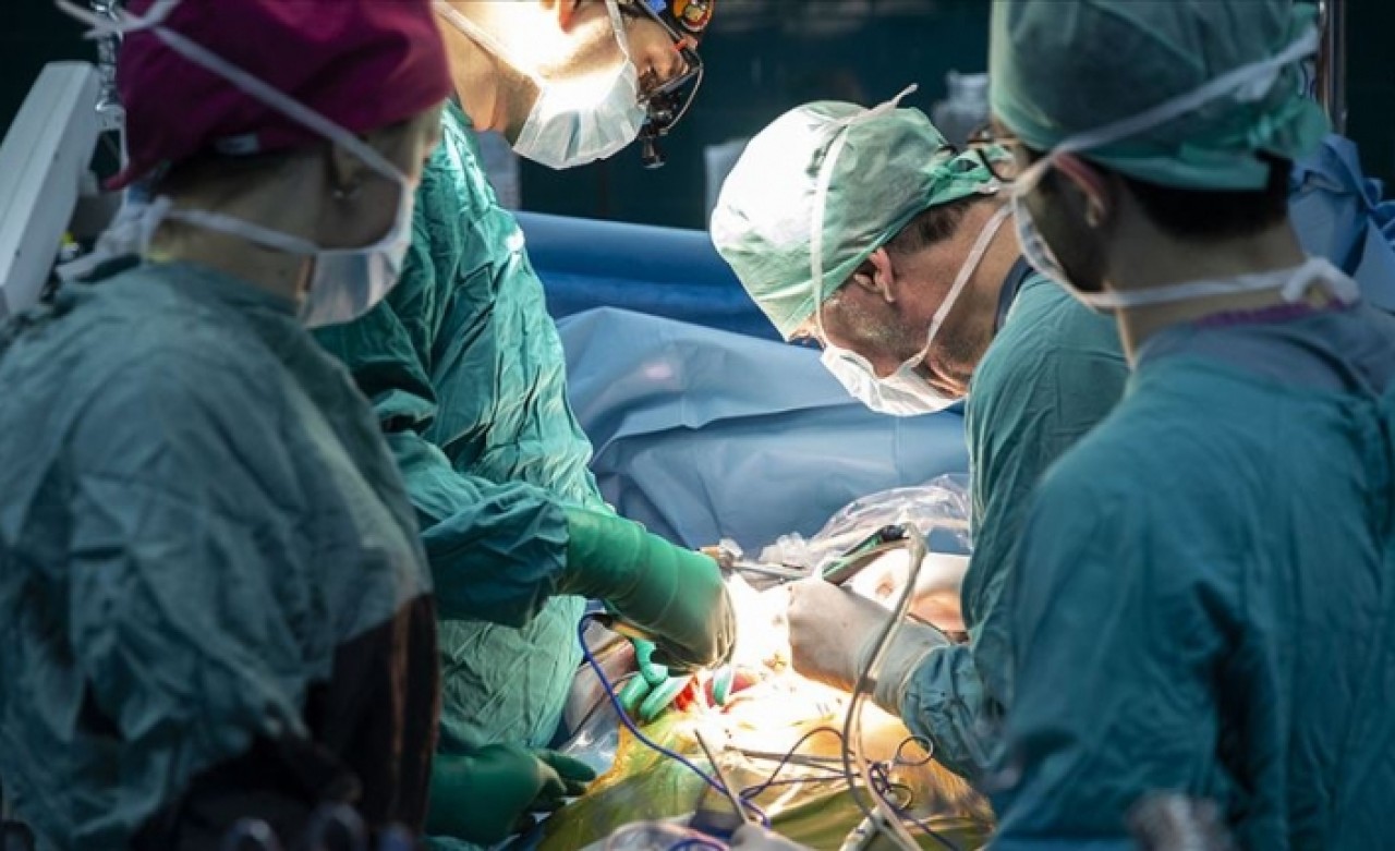 Küçük karaciğeri olanlar da artık donör olabilecek