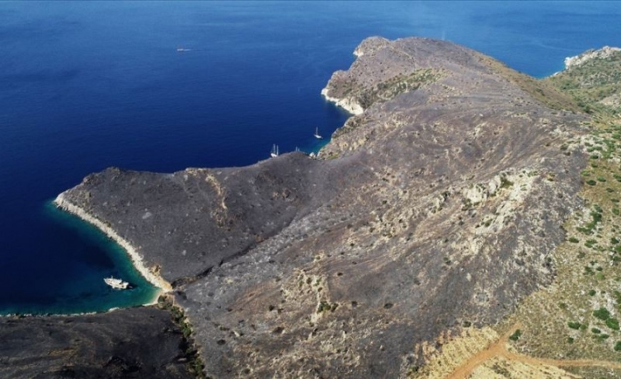 Muğla'daki yangında 5 hektar alan zarar gördü