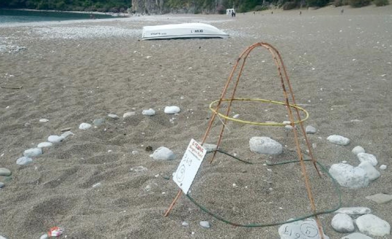 Olimpos'ta 10 yıl sonra bir ilk...