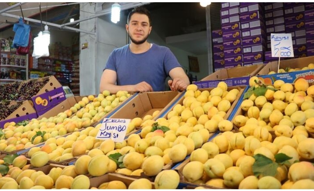 ‘Sarı altın’ tezgaha indi