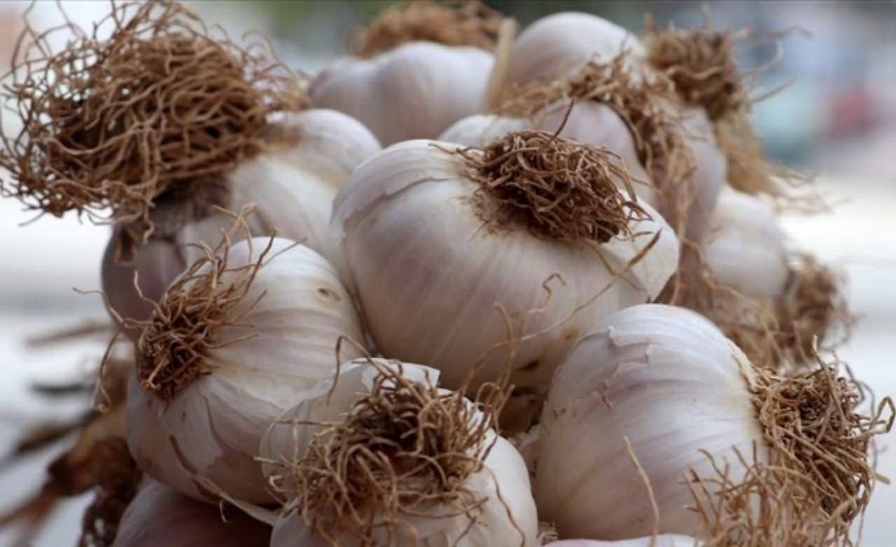 Atığı da antioksidan açısından değerli