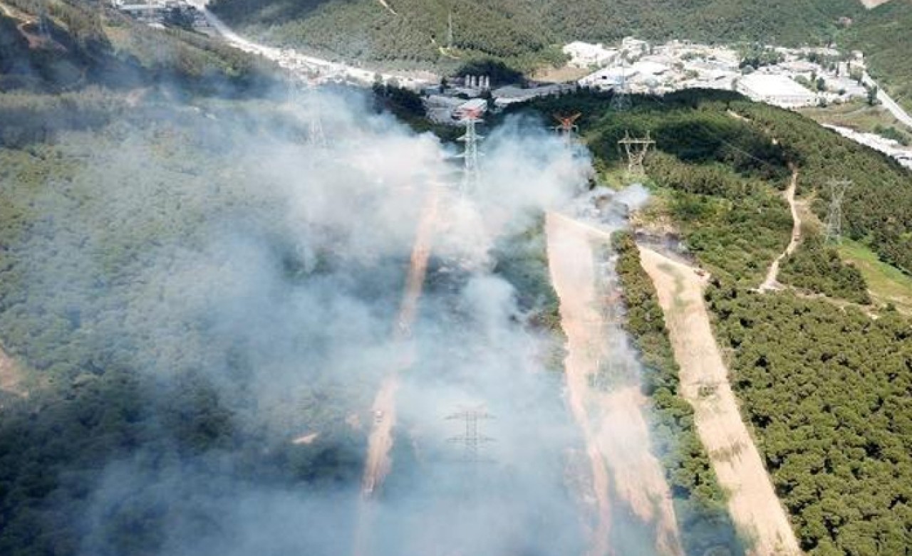 Sarıyer'de orman yangını!