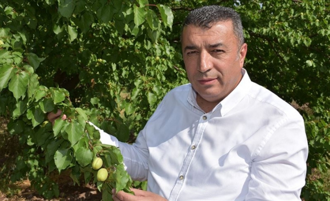 'Şu an tüketiciye sunulan kayısı Malatya kayısısı değil'