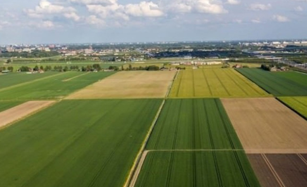 TOKİ 15 ilde 153 arsayı satışa sundu