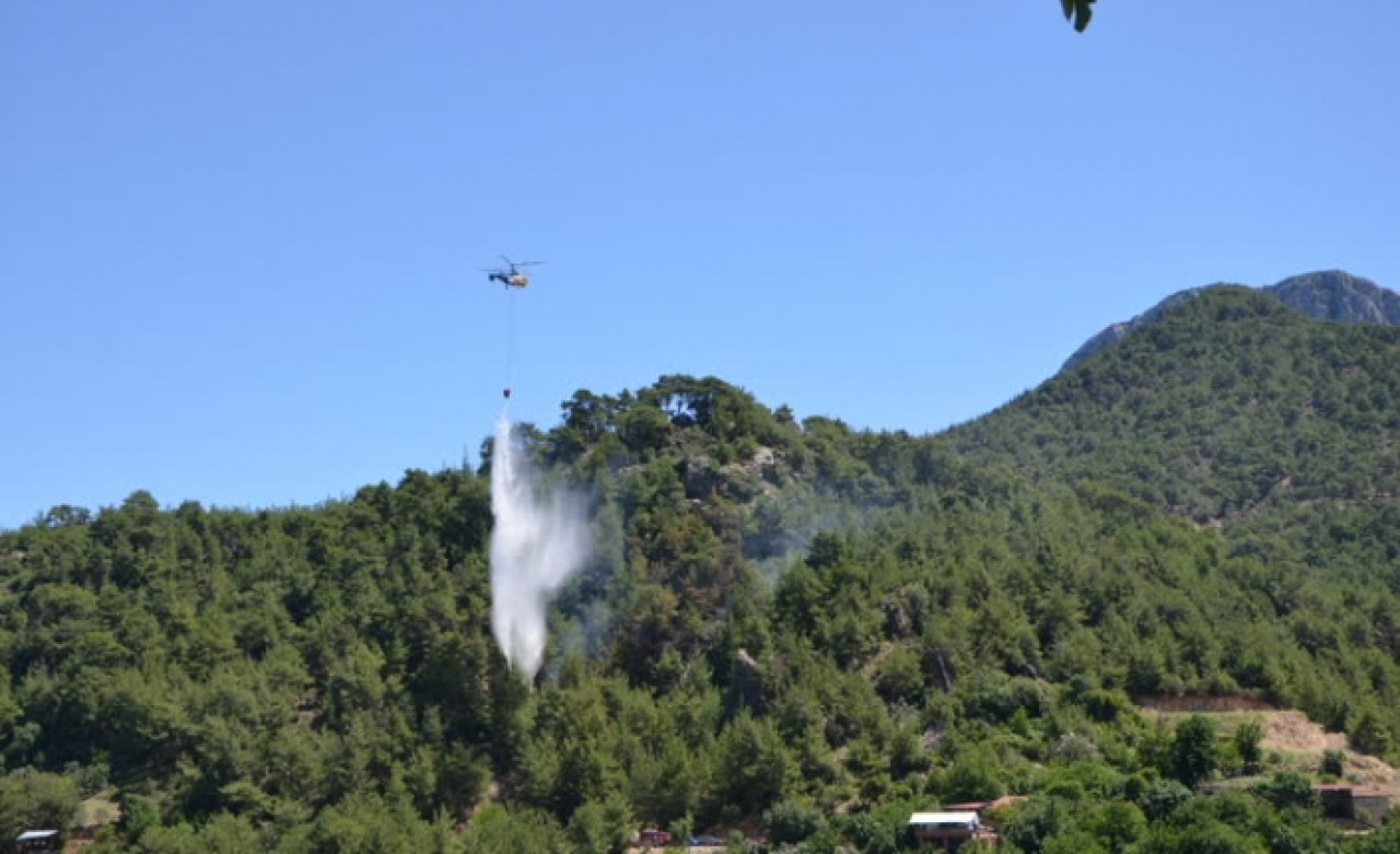 Adana'da orman yangını