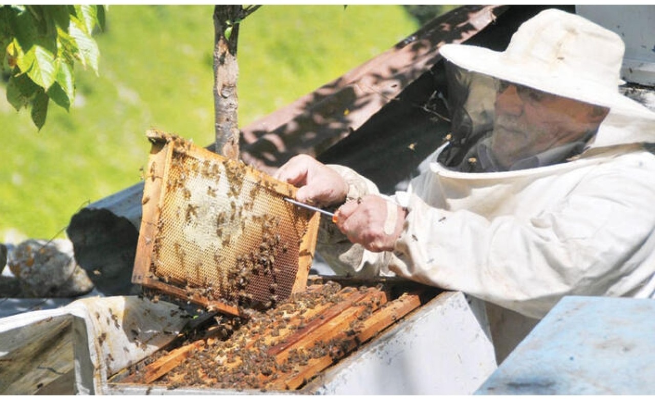 Anzer balının kilosu dudak uçuklatıyor