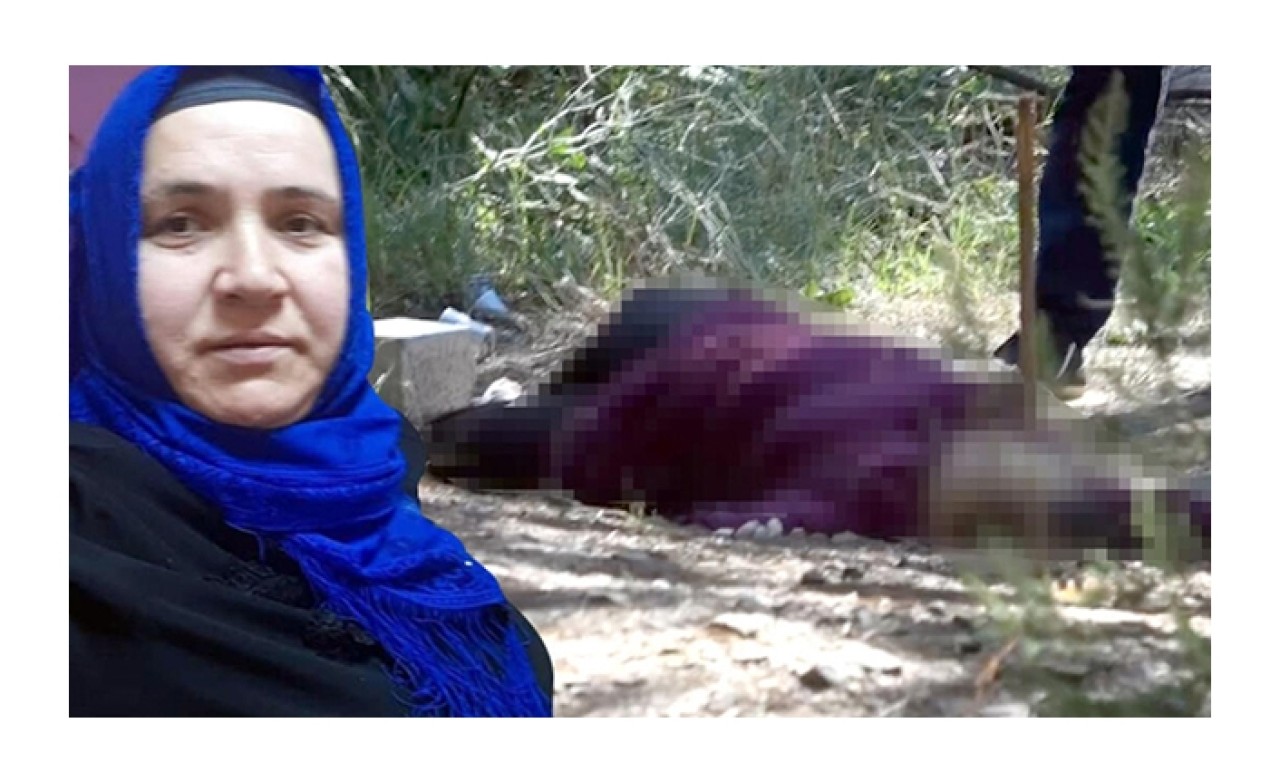 Aydos Ormanı'nda vahşet! Boynuna satırla defalarca vurdu…