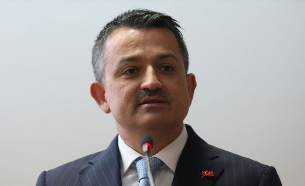 Bakan Pakdemirli: Kurbanlık hayvan varlığında sıkıntı yok