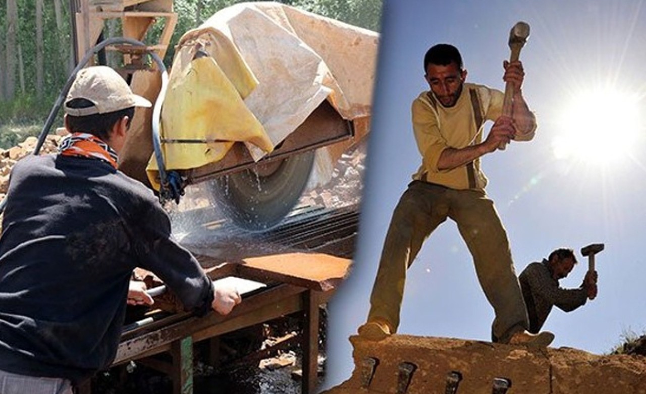 Bölgede yaşayanların geçim kaynağı oldu... Metrekaresi 45 liraya satılıyor