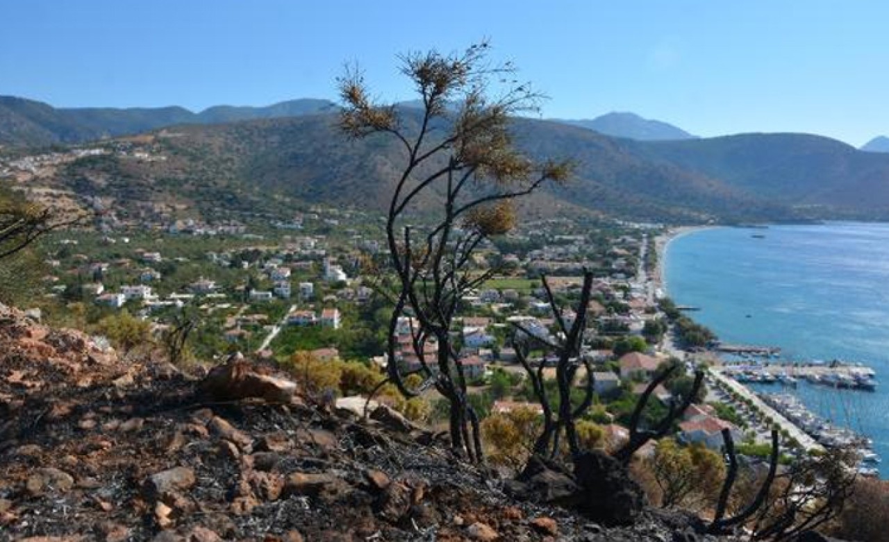 Datça'daki yangın,  elektrik kablolarından çıkmış