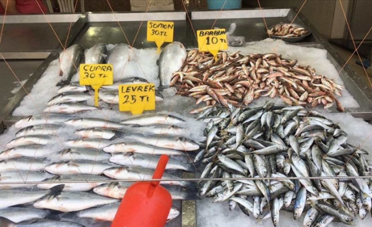 Deniz suyundaki ani soğuma balıkçının yüzünü güldürdü