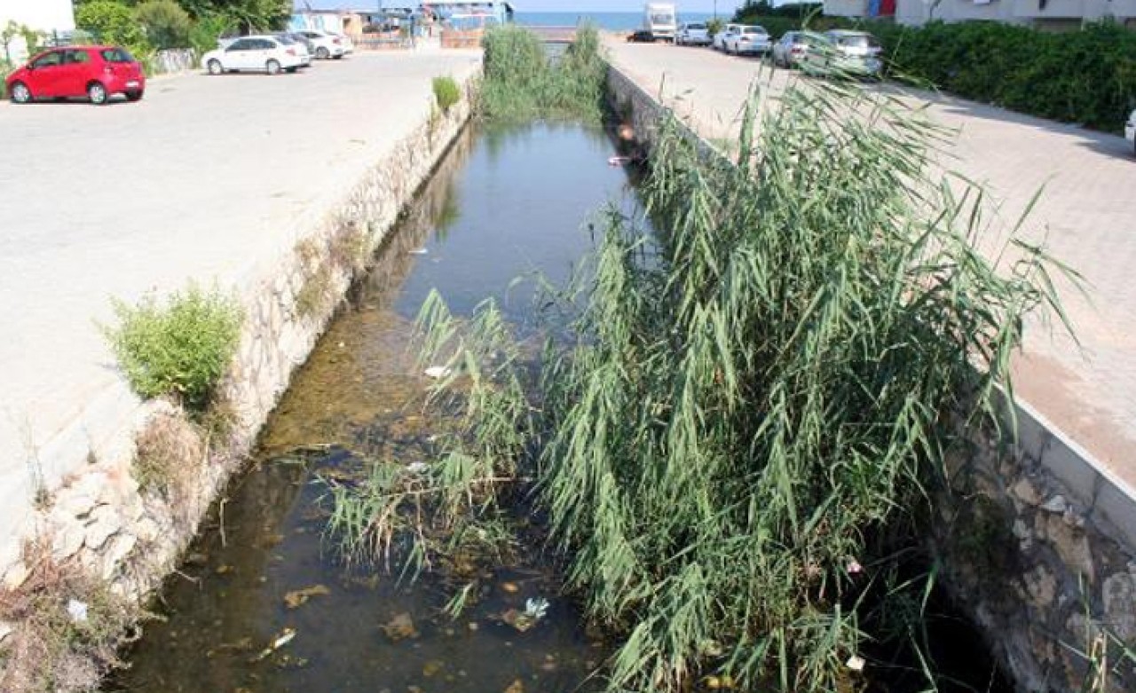 Dereden gelen kötü koku vatandaşların tepkisine neden oldu