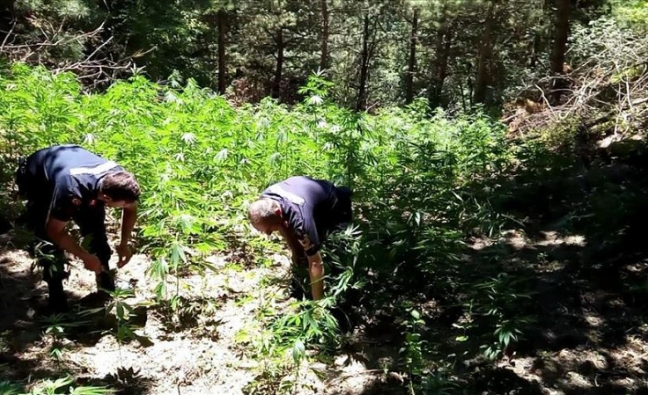 'Drone' destekli uyuşturucu operasyonu