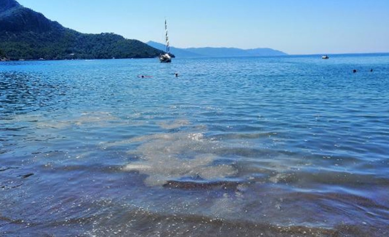 'Dünyaca ünlü koya sintine atığı boşaltıldı' iddiası