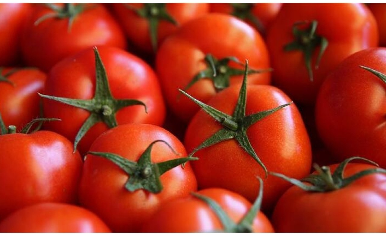 En çok domates üretildi