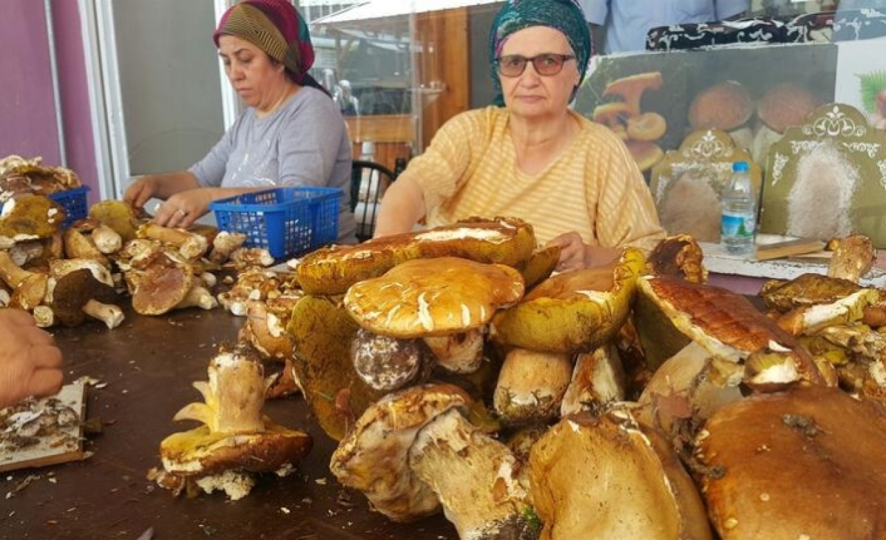 Günde 7 bin TL kazanan var... Toplayıp,  satıp,  bina yapıyorlar