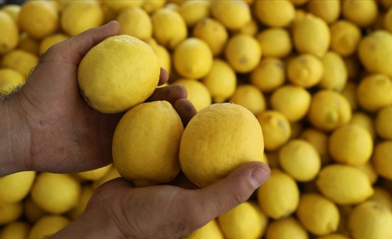 Haziran ayının zam şampiyonu limon