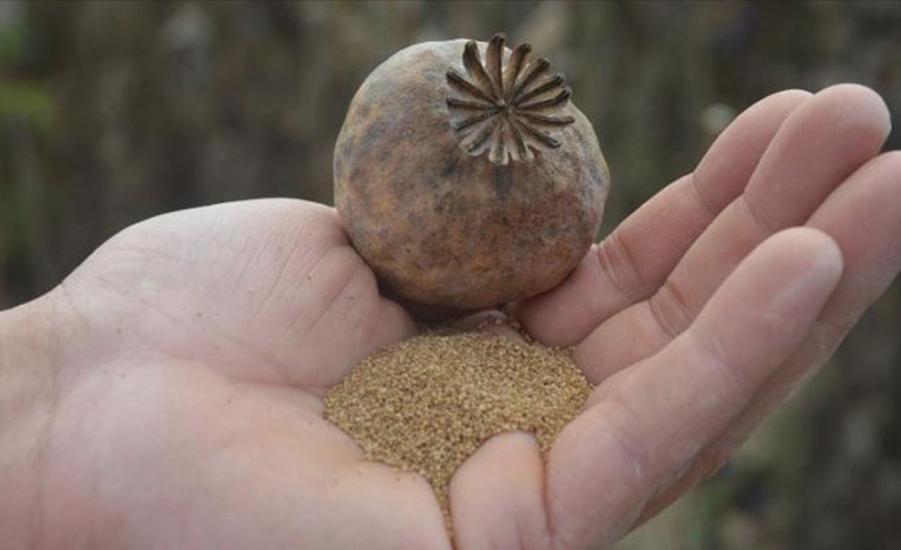 'Hüseyinbey' ve 'Çelikoğlu' Denizli'ye uyum sağladı