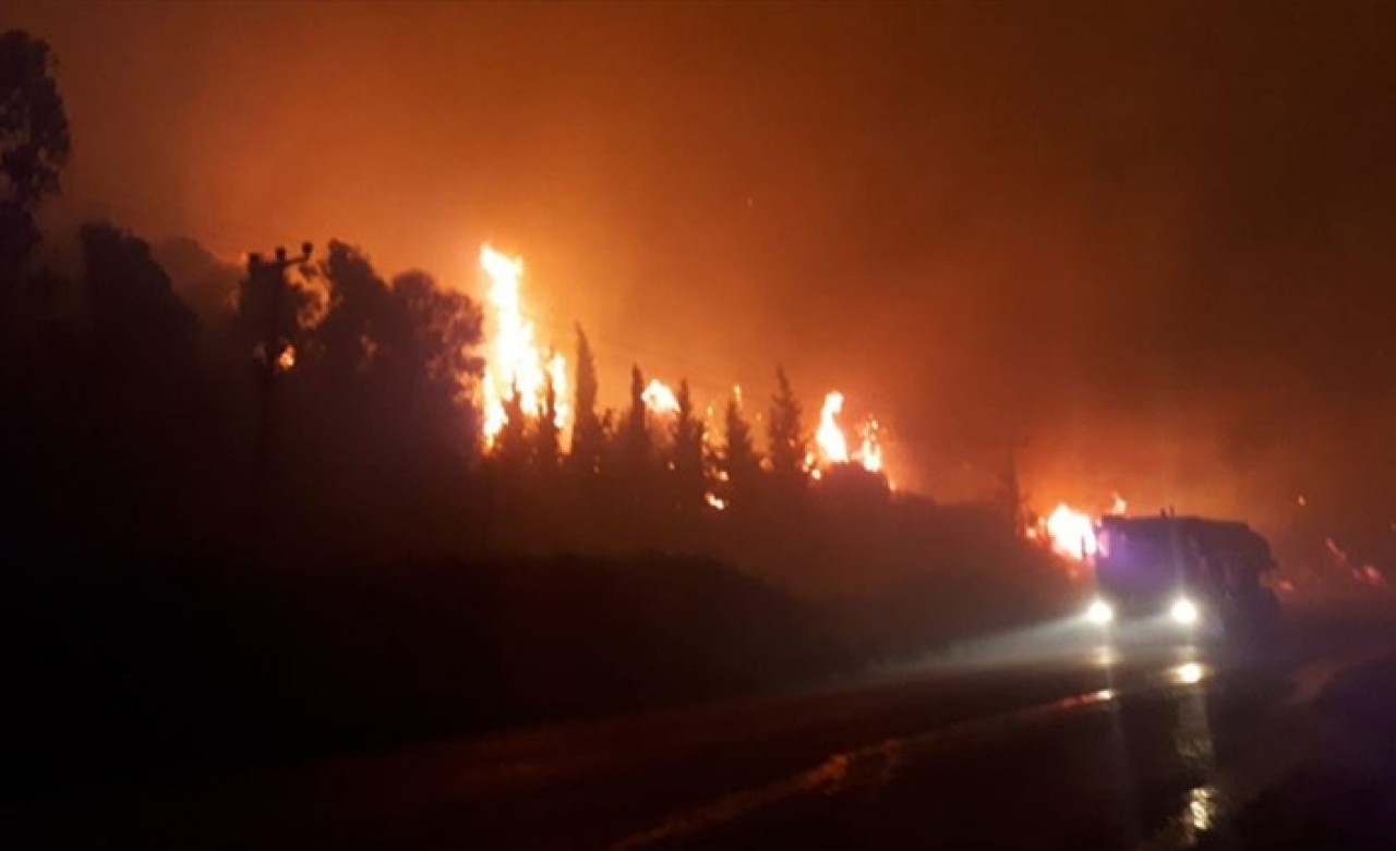 İzmir'de otluk alanda çıkan yangında 2 otel tahliye edildi