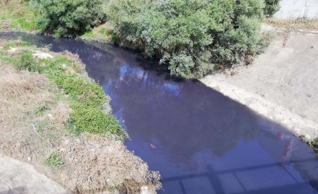 Kavak Deresi'ne kimyasal karıştı