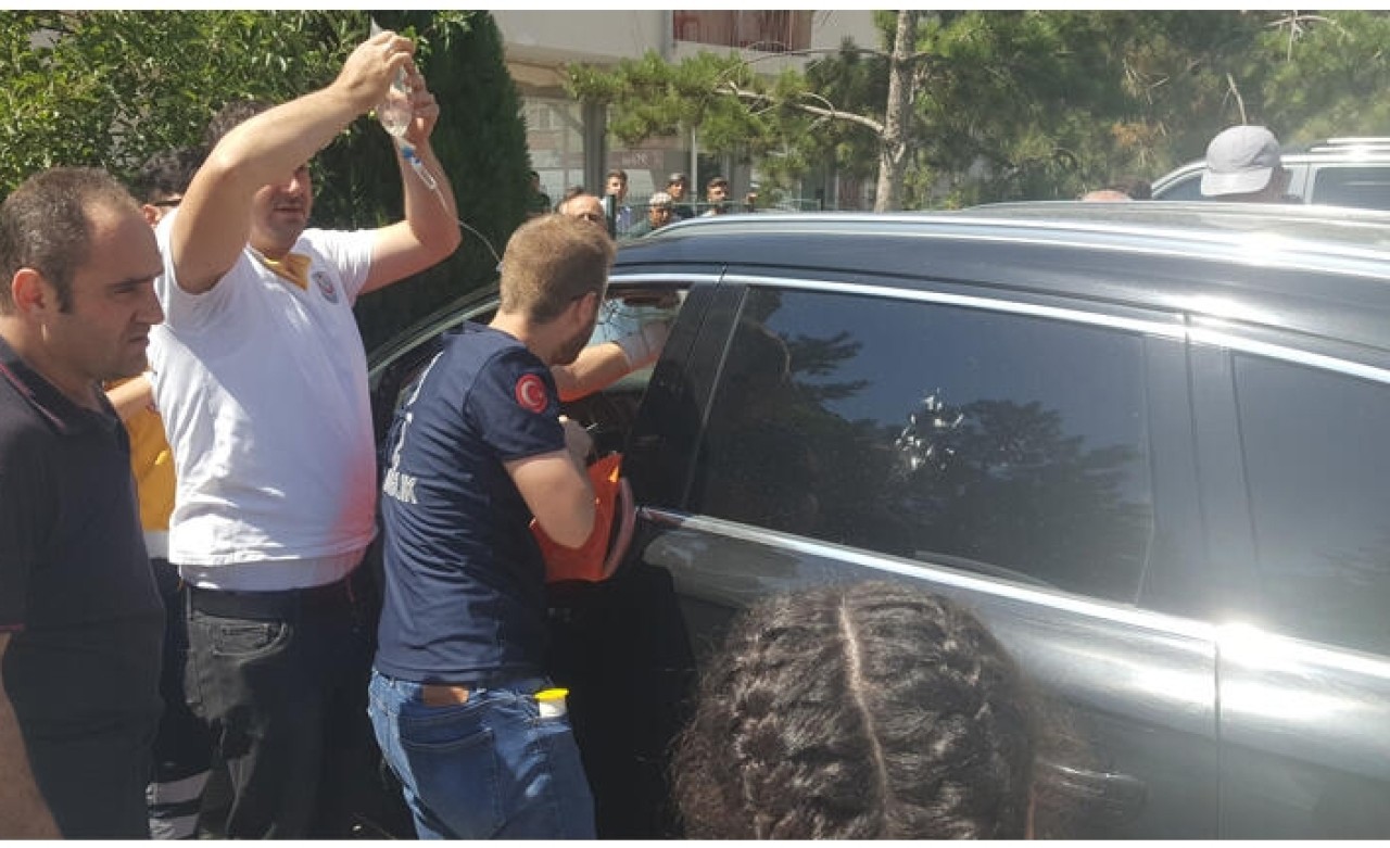 Lüks cipte uyudu! Ölmekten son anda kurtarıldı