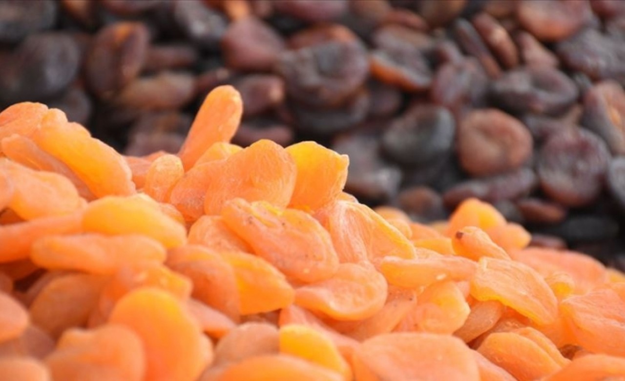 Malatya kayısısı için hedef pazar Uzak Doğu