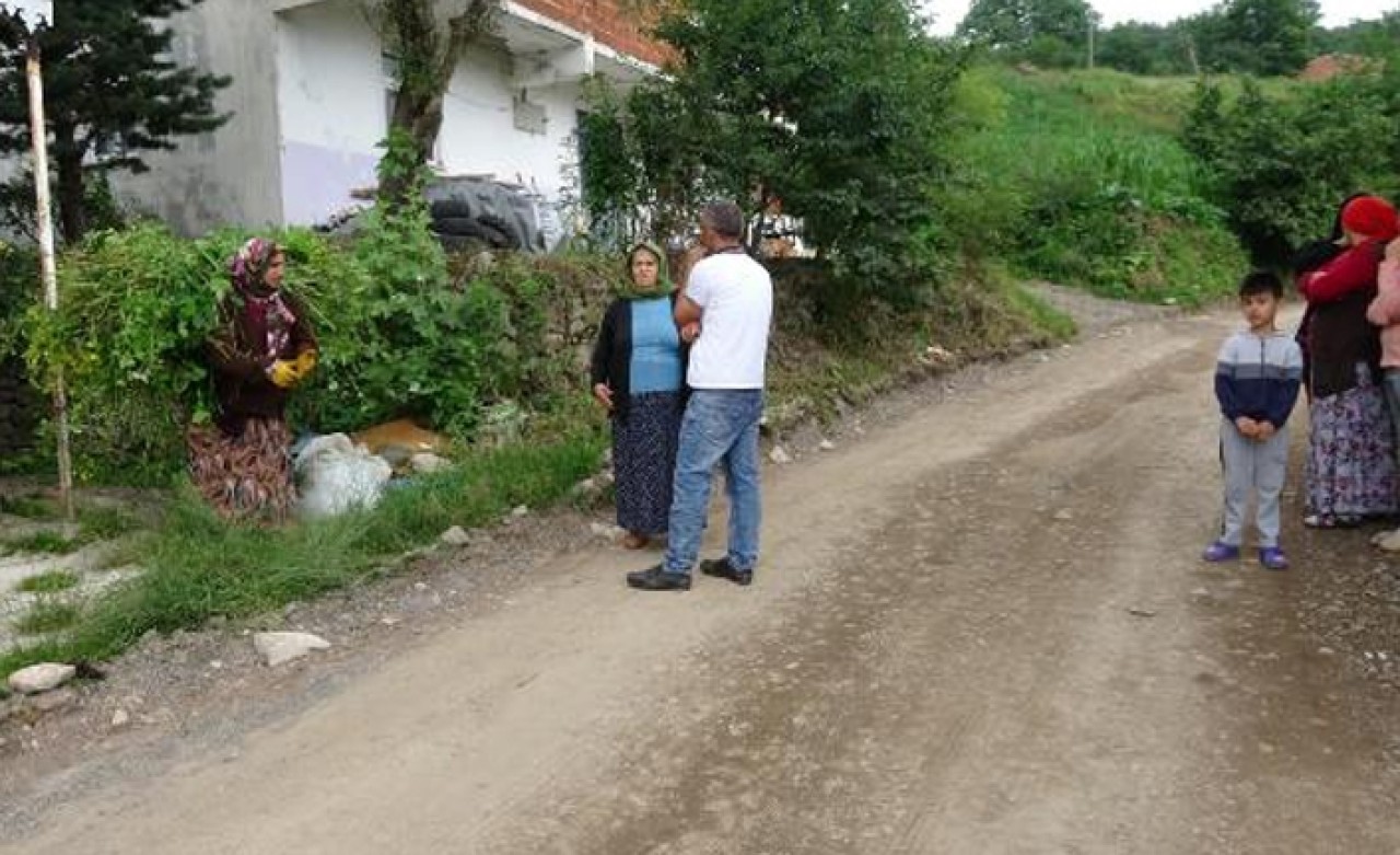 Ordu'da yılan istilası! Boyları 2 metre