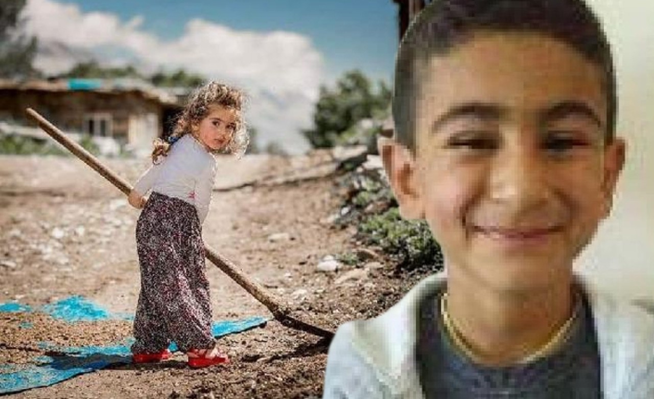 PKK'lıların tuzakladığı patlayıcı infilak etti: 2 kardeş öldü