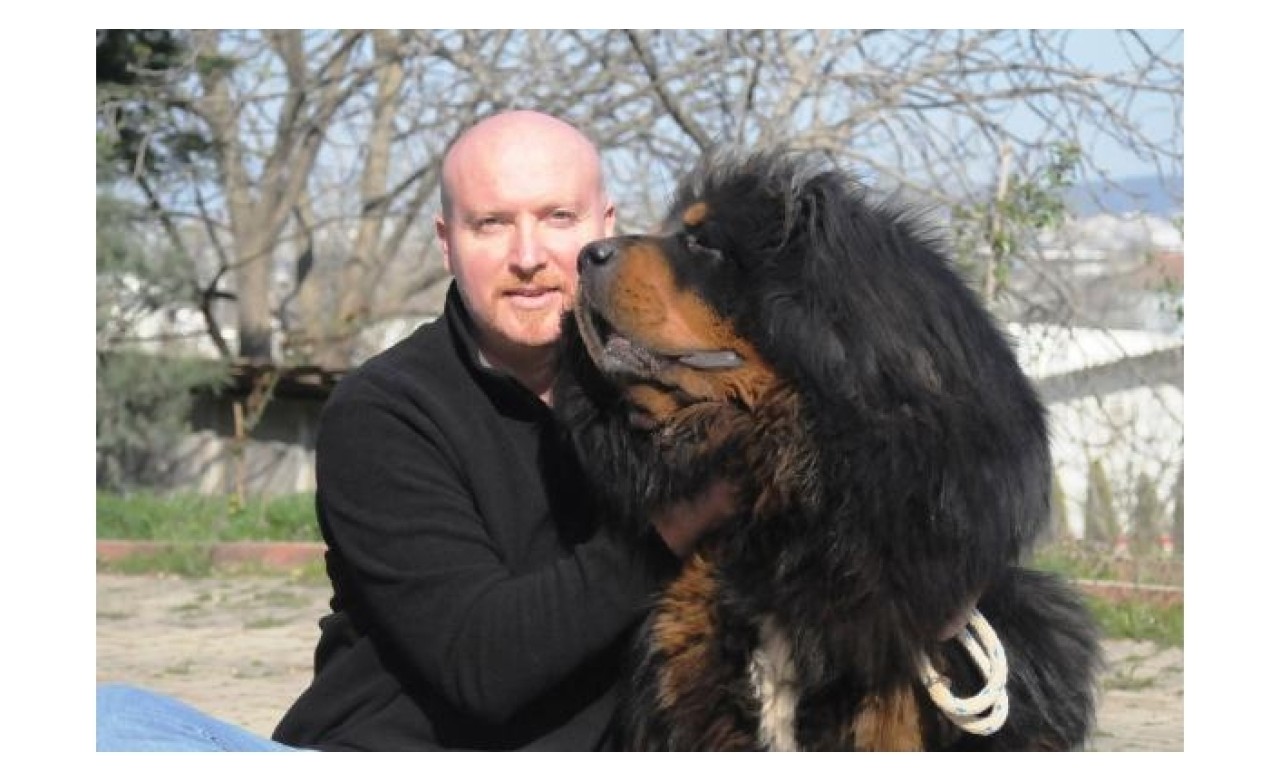 Servet değerindeki köpekleri yetiştirip yurt dışına satıyor