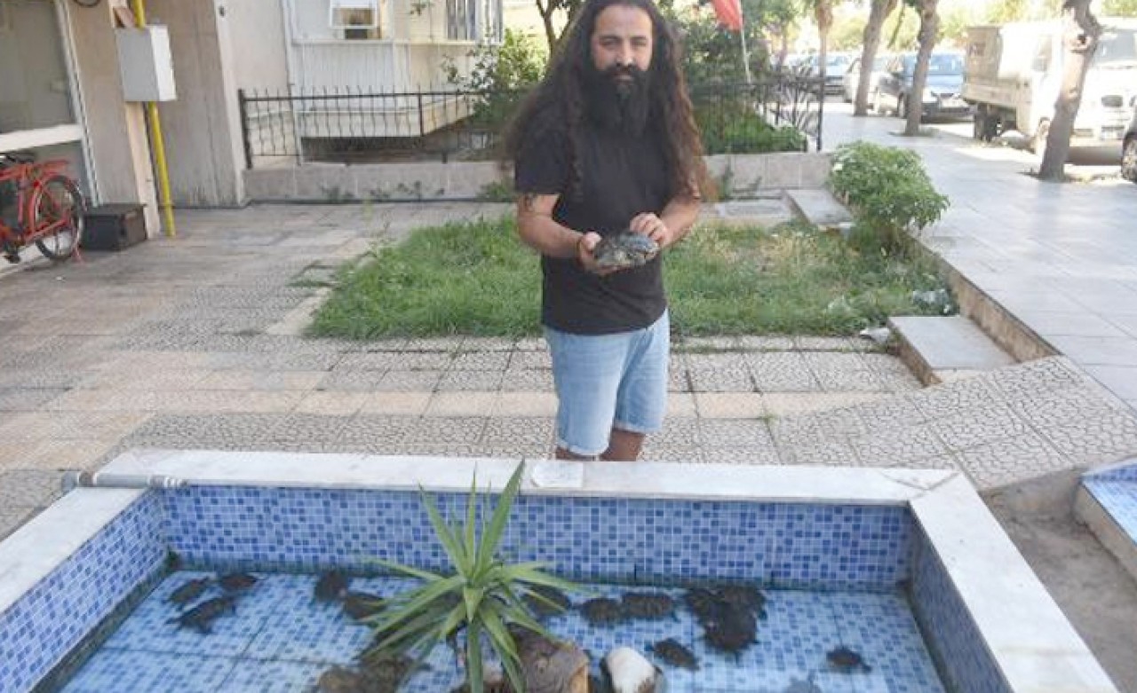 Süs havuzu bırakılan su kaplumbağaları ile doldu