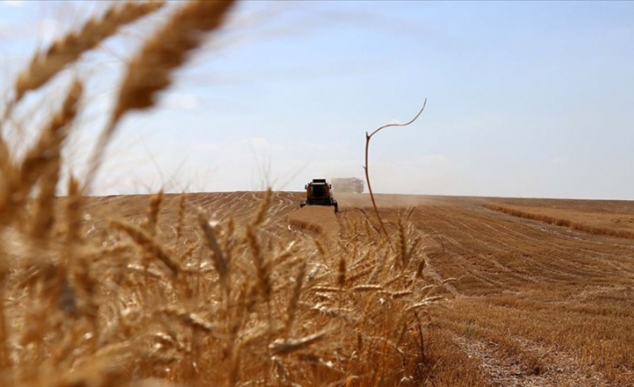 Tarım ve ormancılığın 25 yıllık yol haritası oluşturulacak