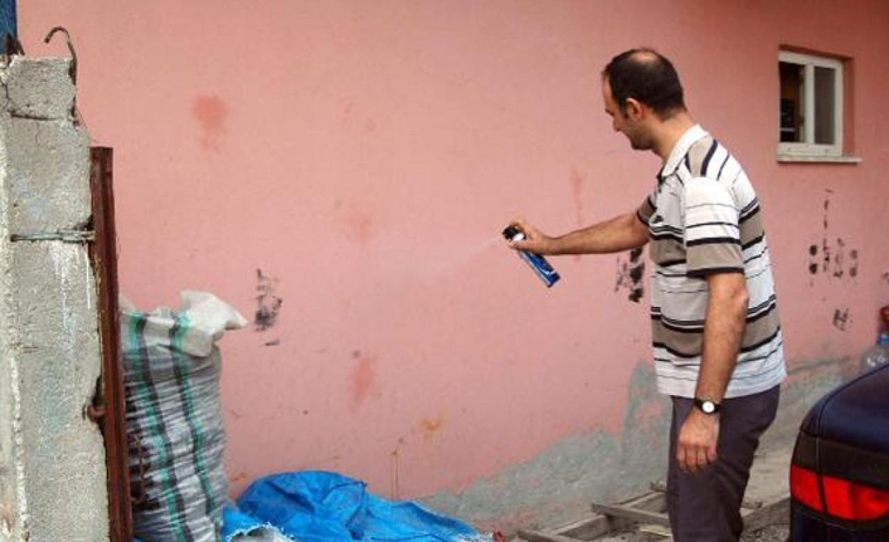 Mahalleyi istila ettiler! 'Yardım istiyoruz,  milyonlarca böcek var'