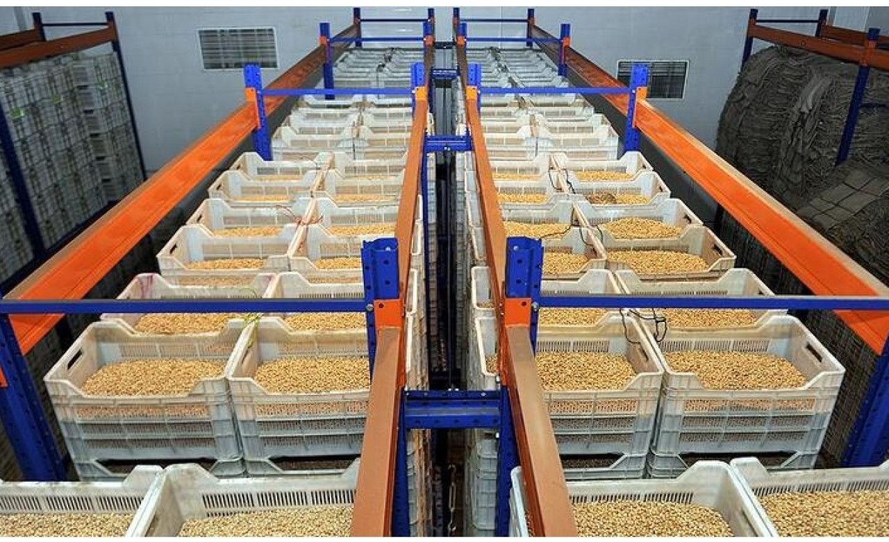 Türkiye'den 4 milyar dolarlık hububat ihracatı