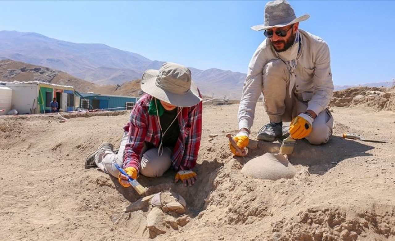 Urartu aristokratlarının mezarlığı bulundu