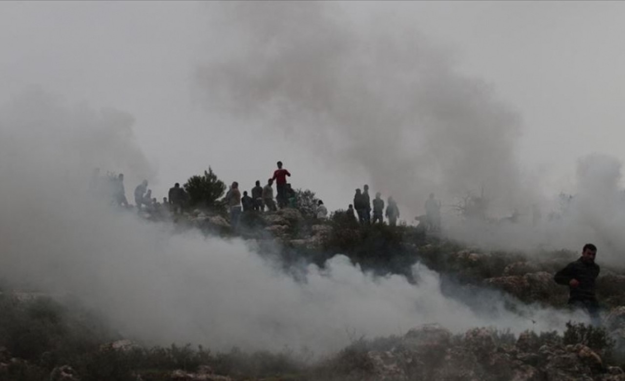 Yahudi yerleşimciler Filistinlilere ait yüzlerce zeytin ağacını ateşe verdi