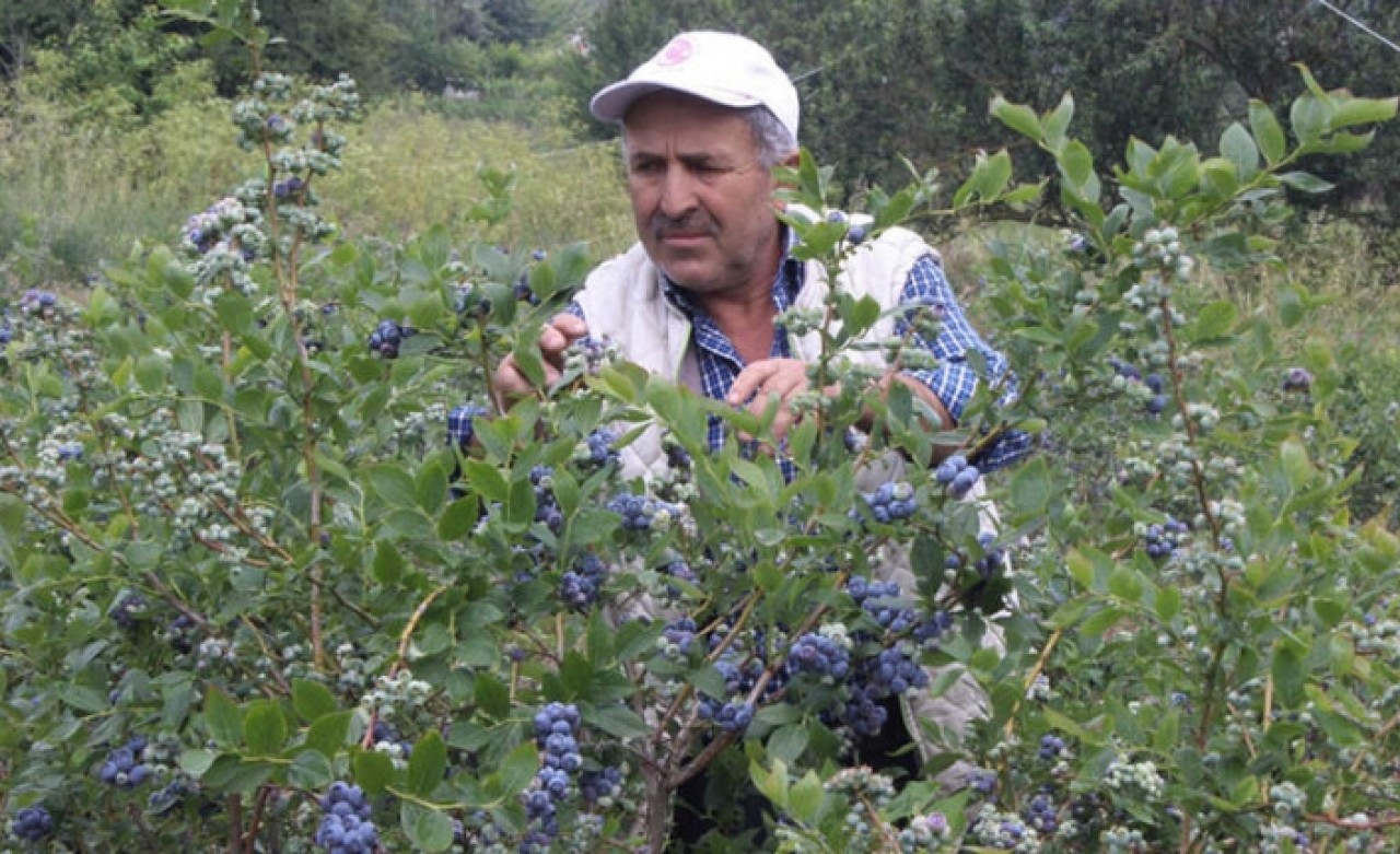 2012'de yapmıştı! Şimdi dönümünden 80 bin TL kazanıyor