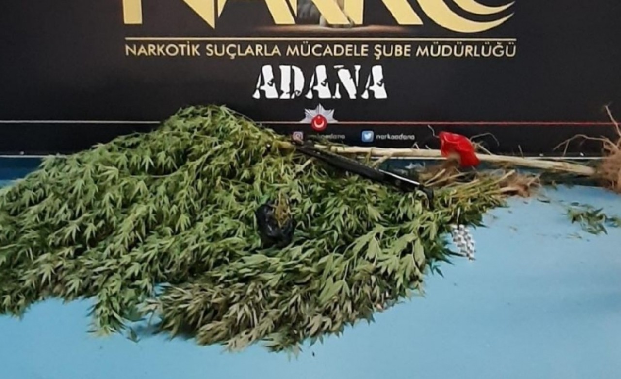 Adana polisinden drone ile hint keneviri avı