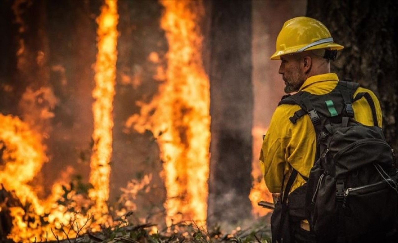 Amazon yağmur ormanlarında 2500 aktif yangın var