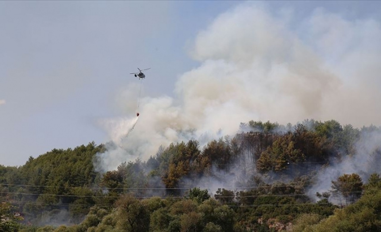 Antalya'da ve Muğla'da orman yangınları