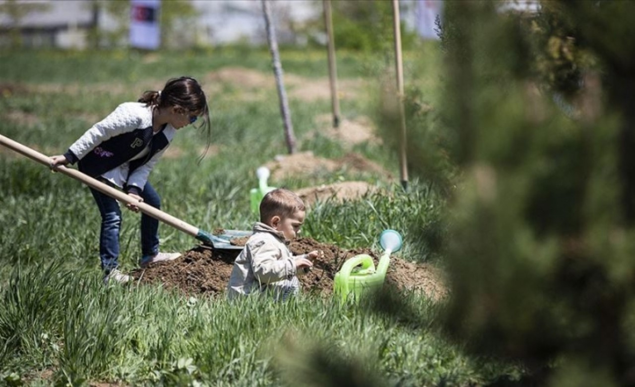 Bakan Pakdemirli: 2023'e kadar 7 milyar fidanı toprakla buluşturacağız