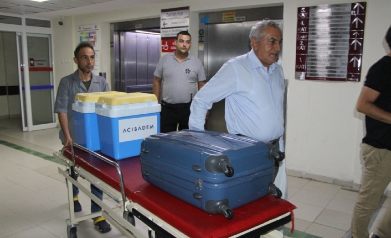 Beyin ölümü gerçekleşen hasta umut oldu