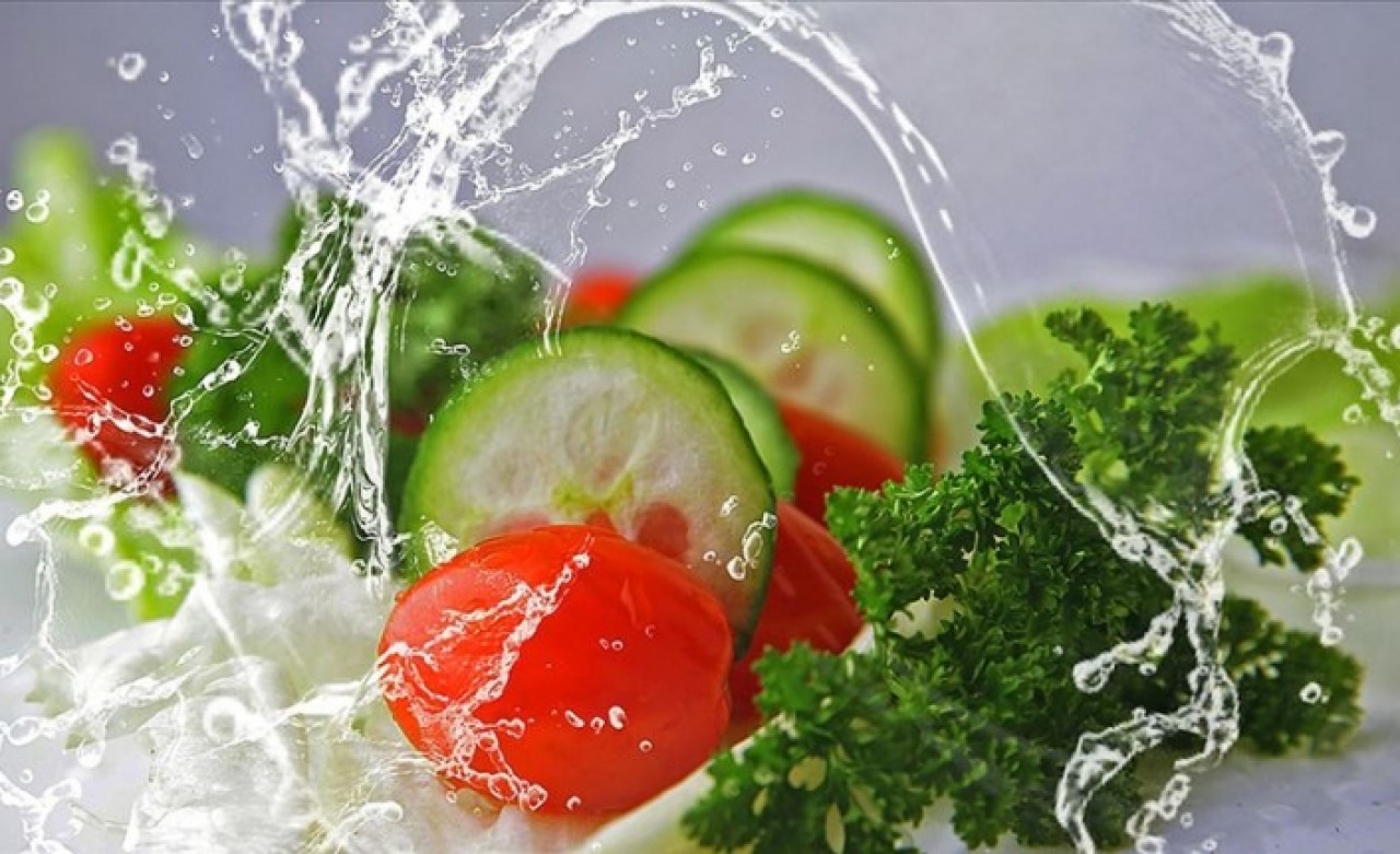 Bitki odaklı beslenme küresel ısınmada kilit rol oynuyor