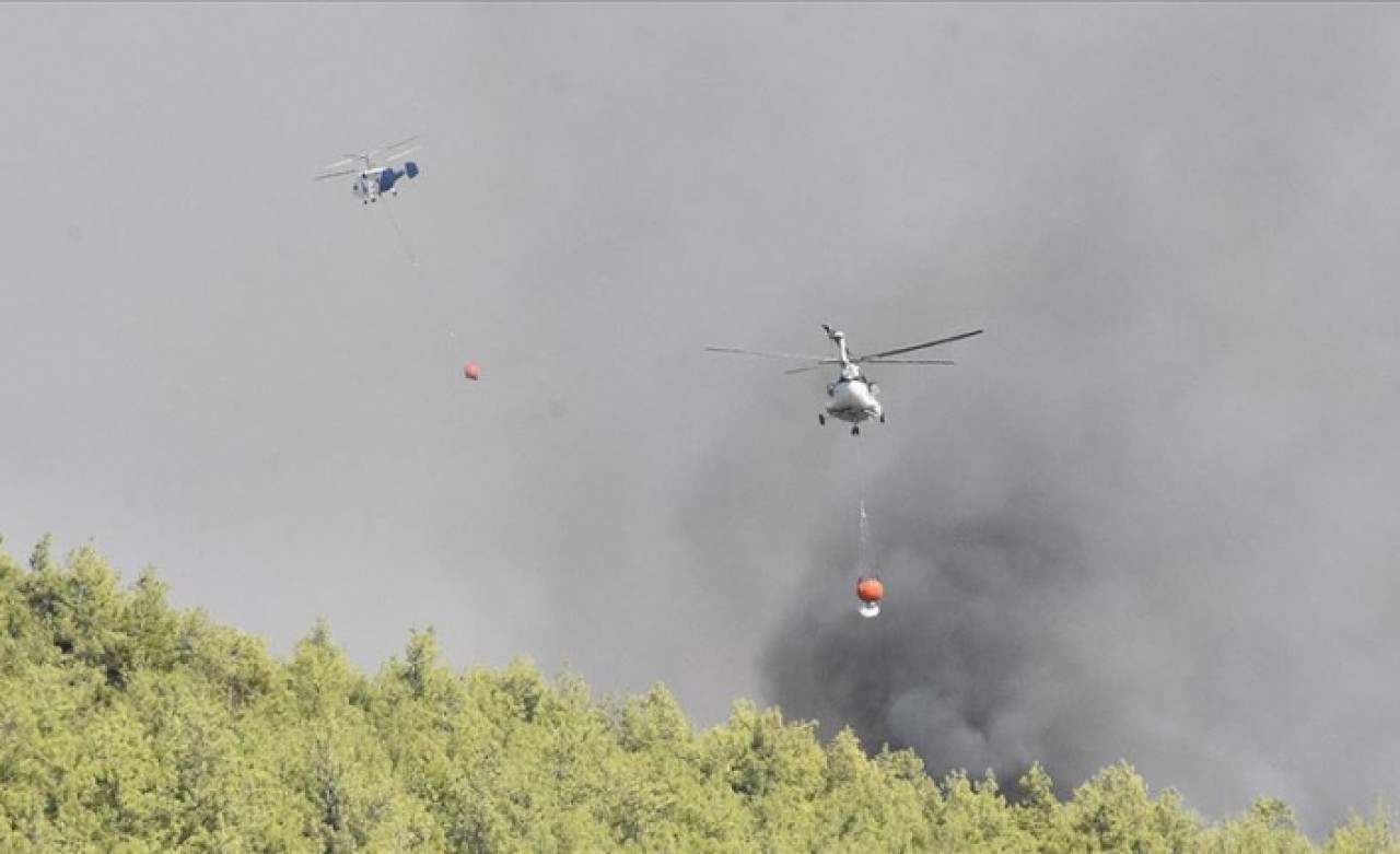 Bodrum'daki orman yangını kontrol altına alındı