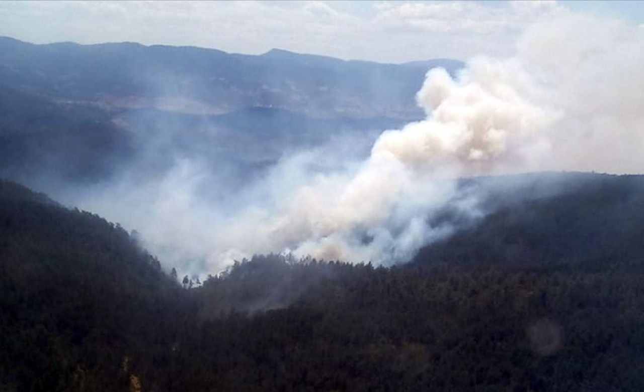 Bursa'da orman yangını