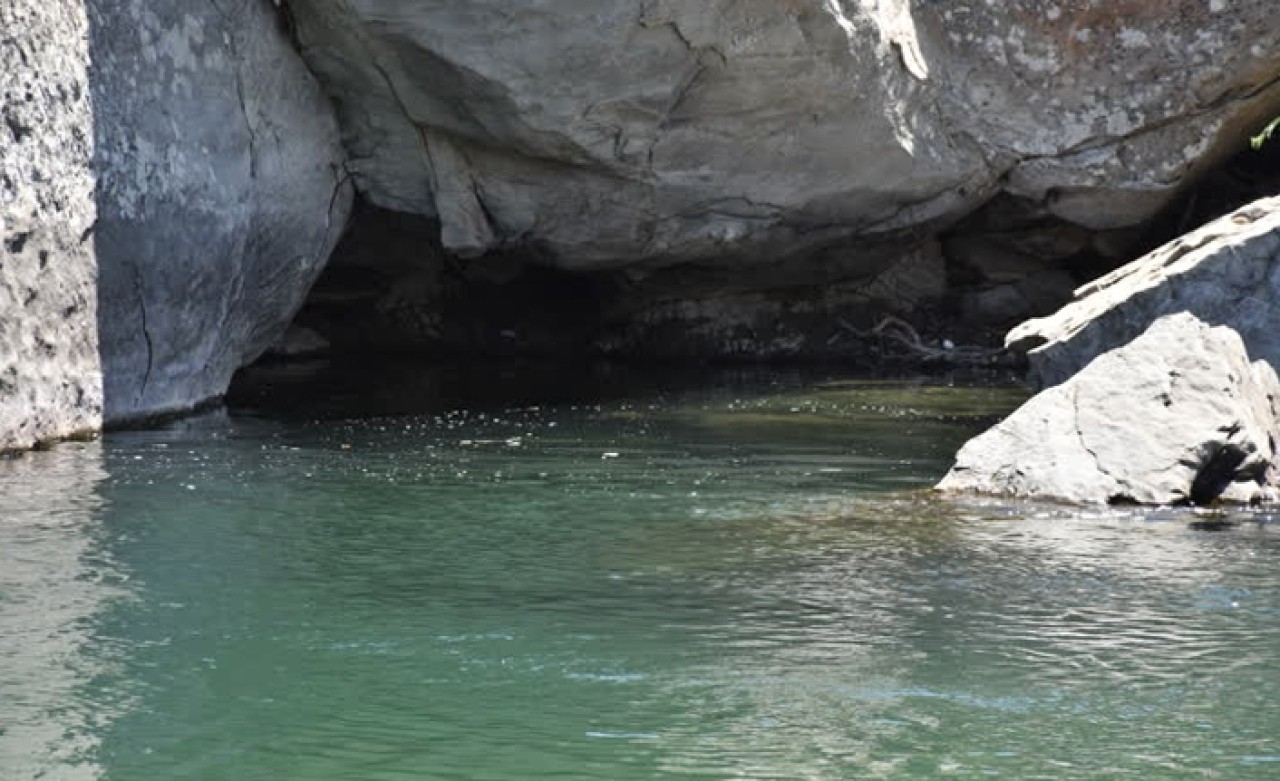 Çayda çırpınan ablasını kurtarmak isterken boğuldu