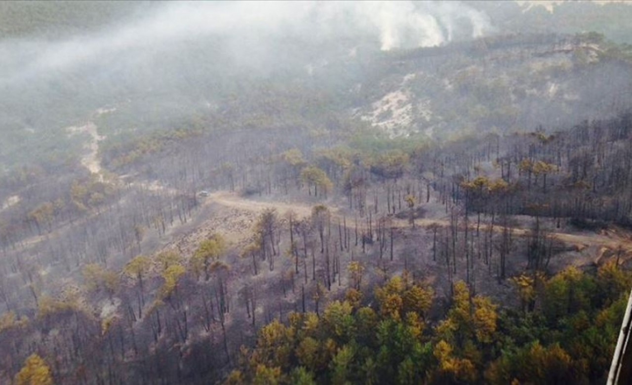 Eskişehir'deki orman yangını kontrol altına alındı