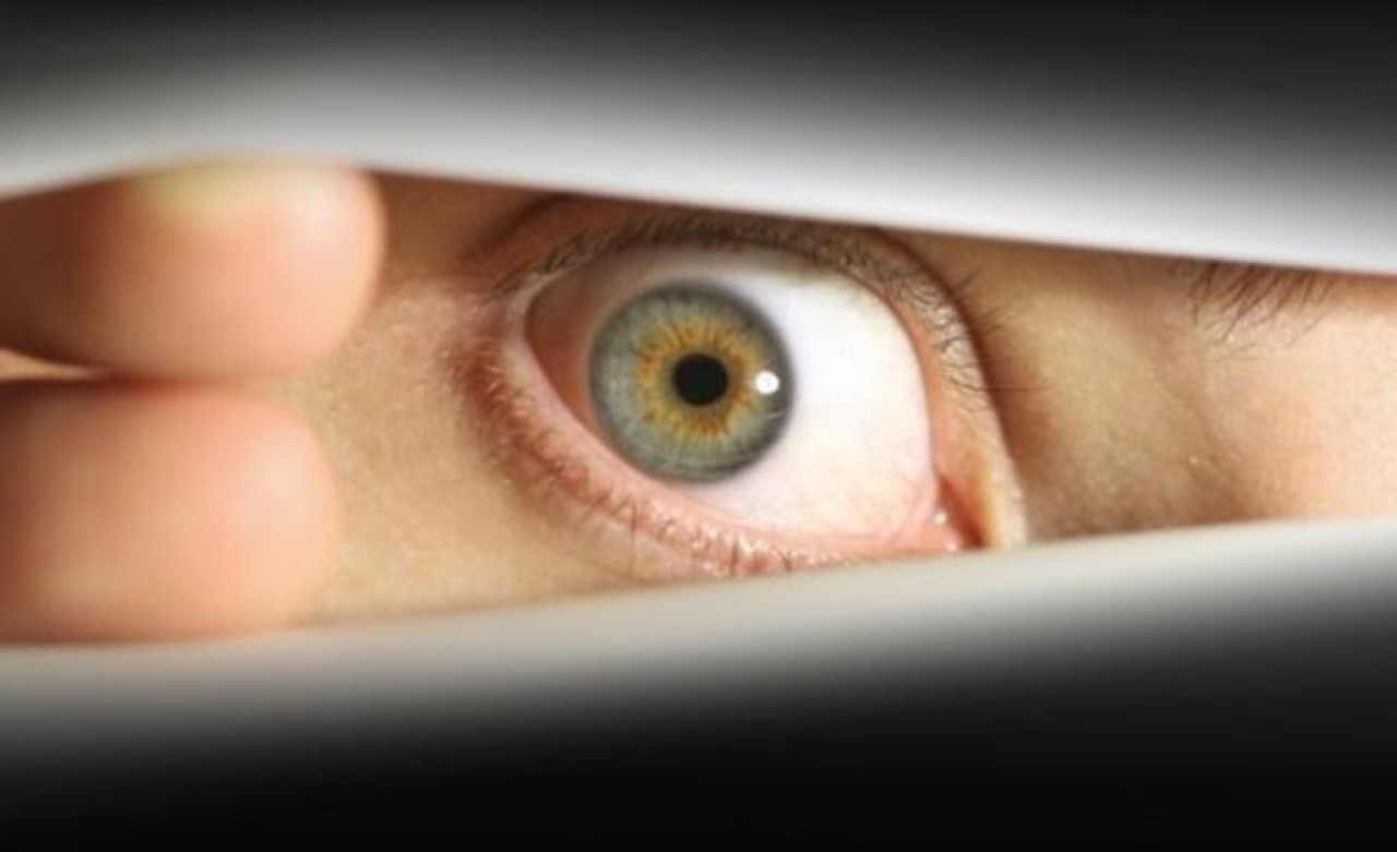 Ev gözetlemeye gözaltı