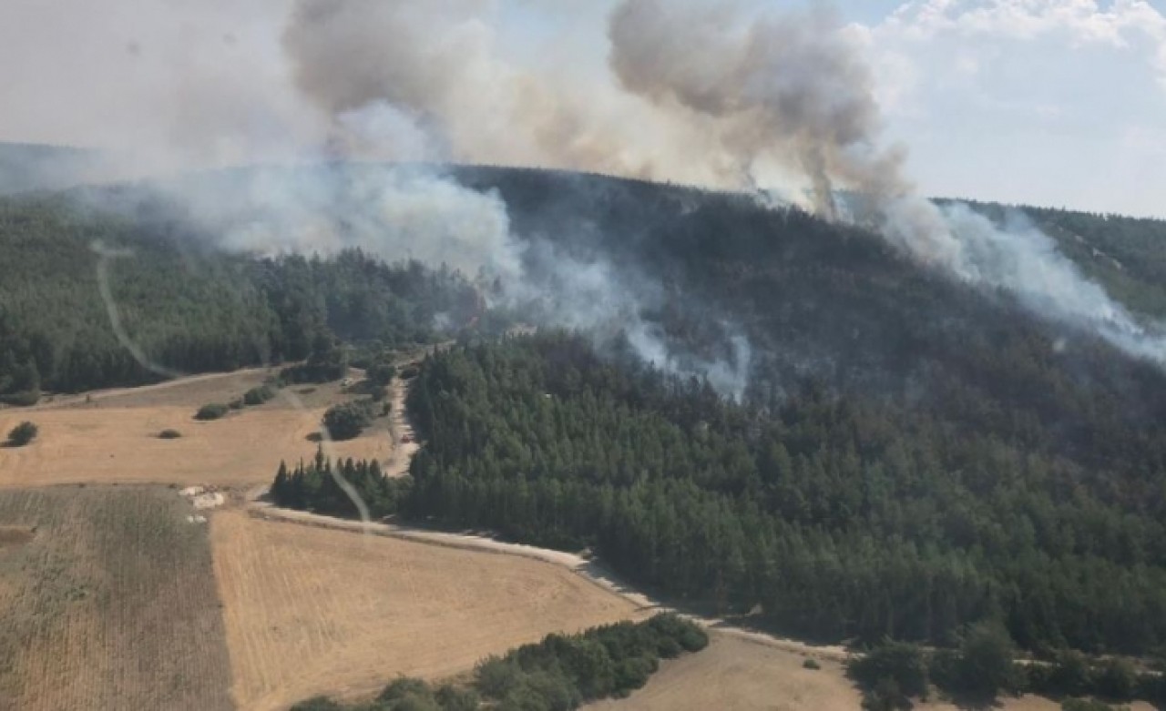 İzmir Büyükşehir Belediyesi'nden yangınlarla ilgili flaş açıklama: Karşıyaka kadar büyük bir alan yandı